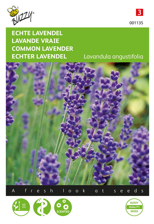 Siemenpussi, jossa Aito laventeli (Lavandula angustifolia) -yrtti. Buzzy®-brändi ja violetti kukkateema