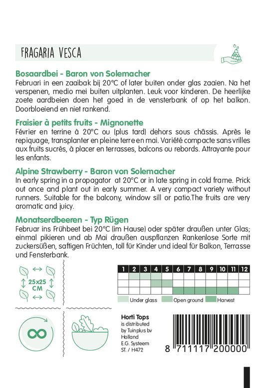 Alppimansikan siemenpussin takapuoli, jossa on ohjeet ja tuotetiedot.