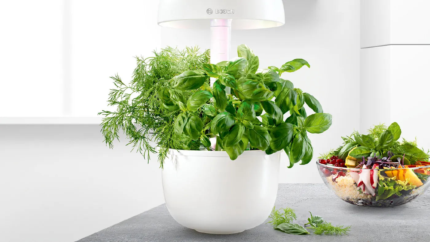 Vihreitä kasveja kasvamassa Bosch SmartGrow 3 -laitteessa kirkkaan LED-valon alla.