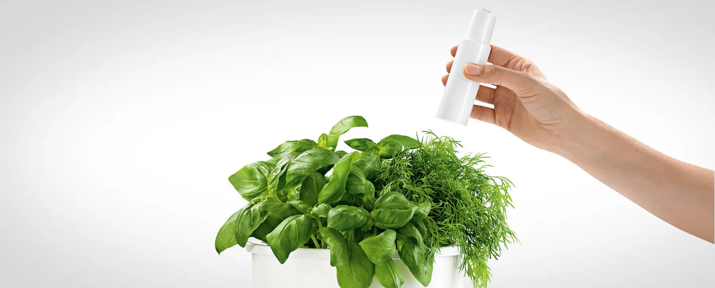 Bosch SmartGrow 3 -laitteen korkeuden säätäminen kasvin kasvun mukaan.