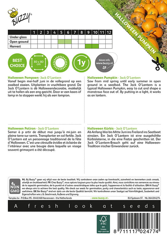 Jack O’Lantern -kurpitsan siemenpussin takapuoli, jossa näkyvät kylvö- ja hoito-ohjeet.
