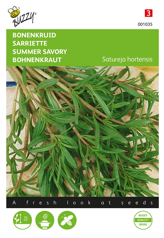 Kesämeirami – Satureja hortensis -nippu valmis käytettäväksi keittiöön