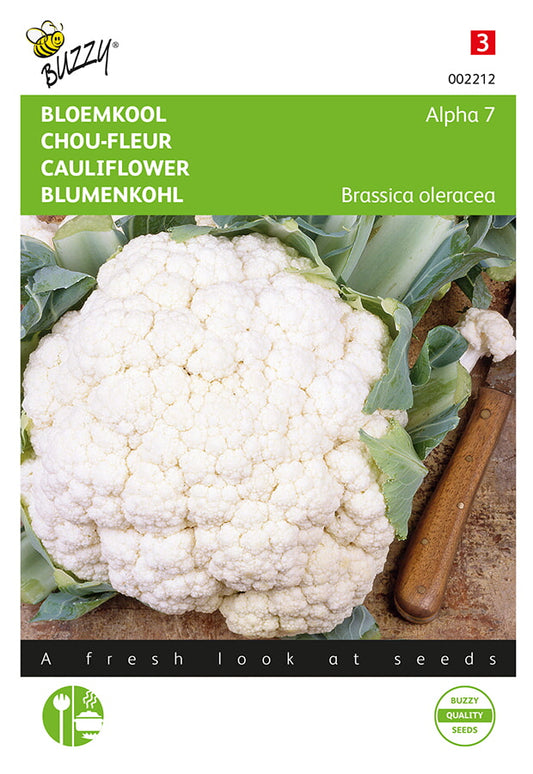 Siemenpussi, jossa Kukkakaali ‘Alpha 7’ (Brassica oleracea). Kuvassa valkoisia kukkakaaleja ja Buzzy®-brändi.