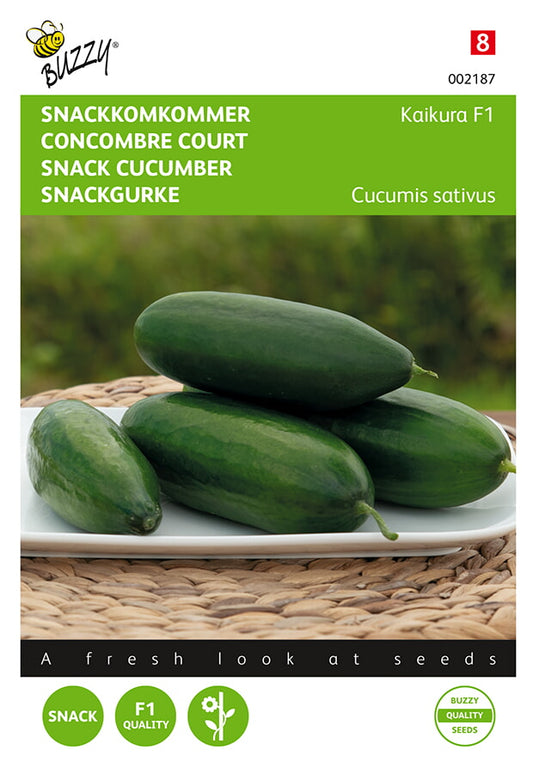 Siemenpussi, jossa Välipalakurkku ‘Kaikura F1’ (Cucumis sativus), kuvituksessa vihreitä pikkukurkkuja.