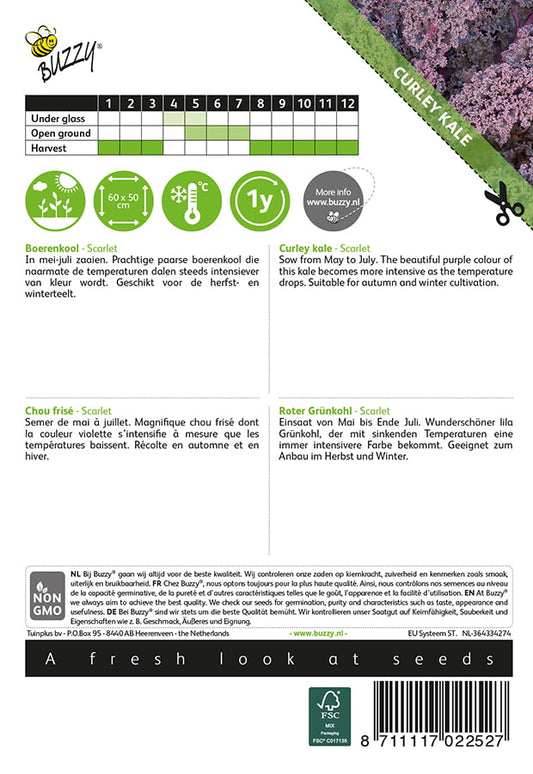 Lehtikaali ‘Scarlet’ siemenpussin takapuoli, jossa näkyy kylvöohjeet ja tuoteseloste.