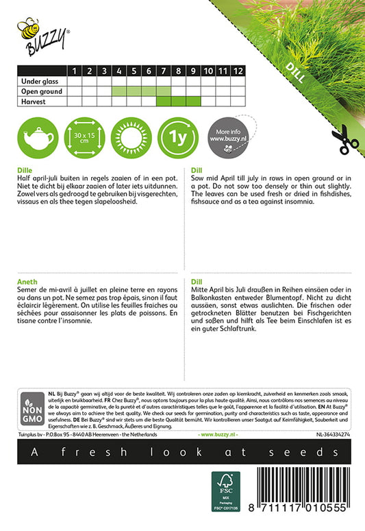 Lehtitilli – Anethum graveolens -siemenpussin takapuoli, jossa kylvö- ja hoito-ohjeet
