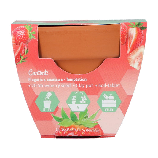 Mansikka kasvatuslahjan takapuoli, jossa tiedot sisällöstä.