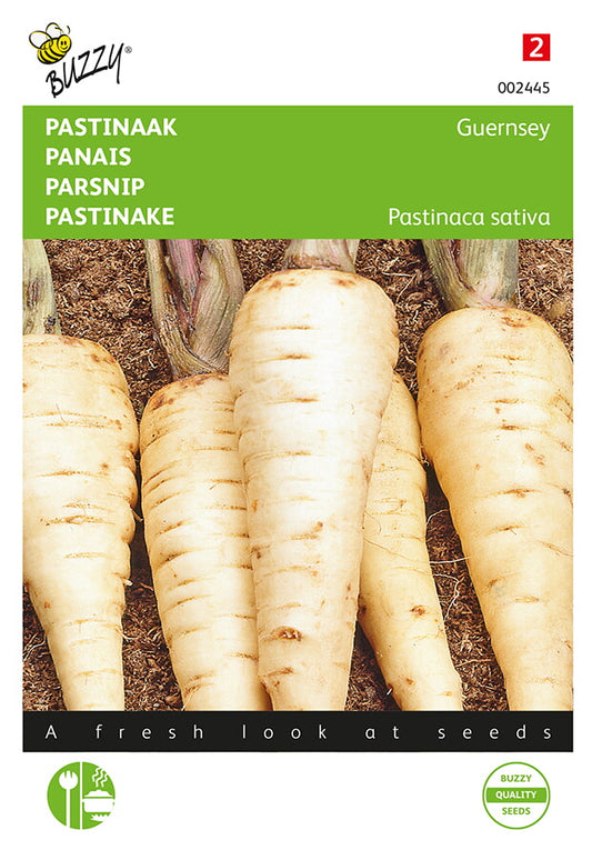 Palsternakka Guernsey -siemenpussin etupuoli, jossa näkyy valkoisia, paksuja juureksia.