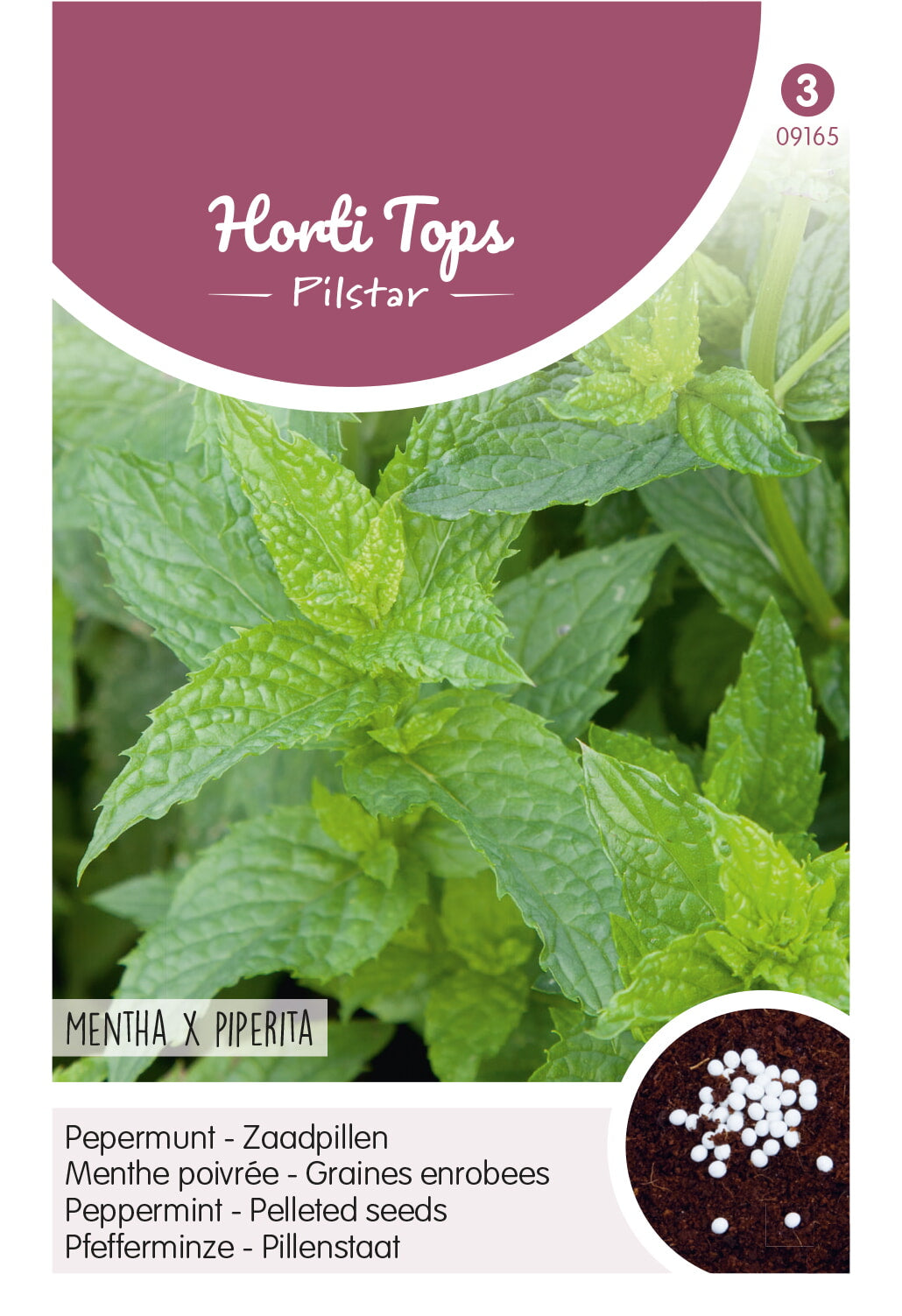 Piparminttu – Mentha × piperita siemenpussi, Horti Tops.