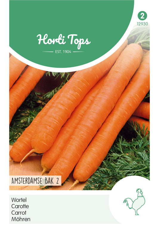 Porkkana ‘Amsterdam Forcing 2’ -siemenpussin etupuoli, jossa näkyy oransseja porkkanoita.