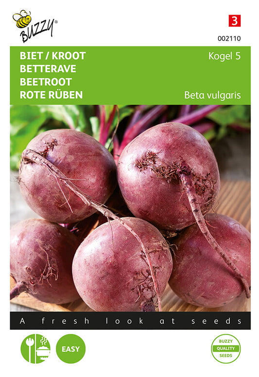 Siemenpussi, jossa Punajuuri ‘Detroit 5 Loki’ (Beta vulgaris) -lajike. Buzzy®-brändi, punasävyinen juureskuva.