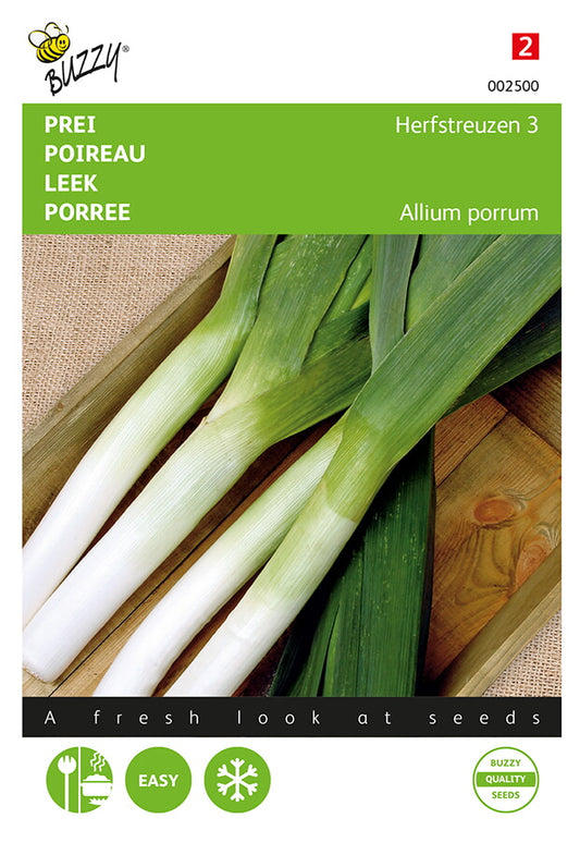 Purjo ‘Autumn Mammoth 3 Elephant’ -siemenpussin etupuoli, jossa näkyy paksuvartinen vaalea purjo.