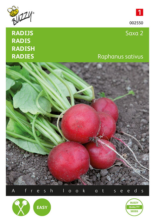 Retiisi ‘Saxa 2’ -siemenpussin etupuoli, jossa näkyy pyöreitä punaisia retiisejä vihreillä lehdillä.