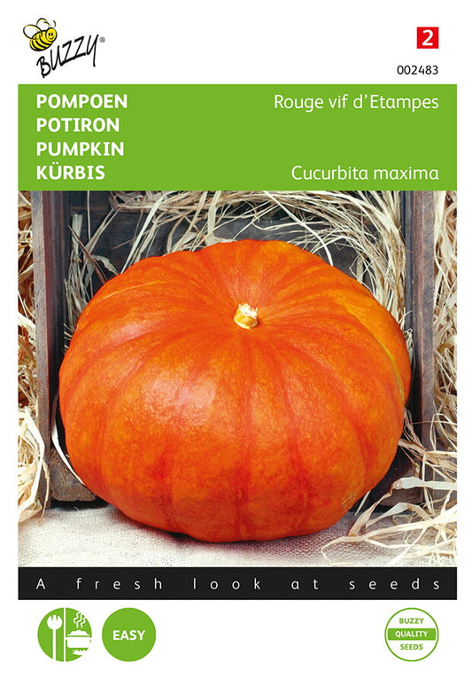 Rouge vif d’Etampes -kurpitsan siemenpussin etupuoli, jossa näkyy kirkkaanoranssi litteä kurpitsa.