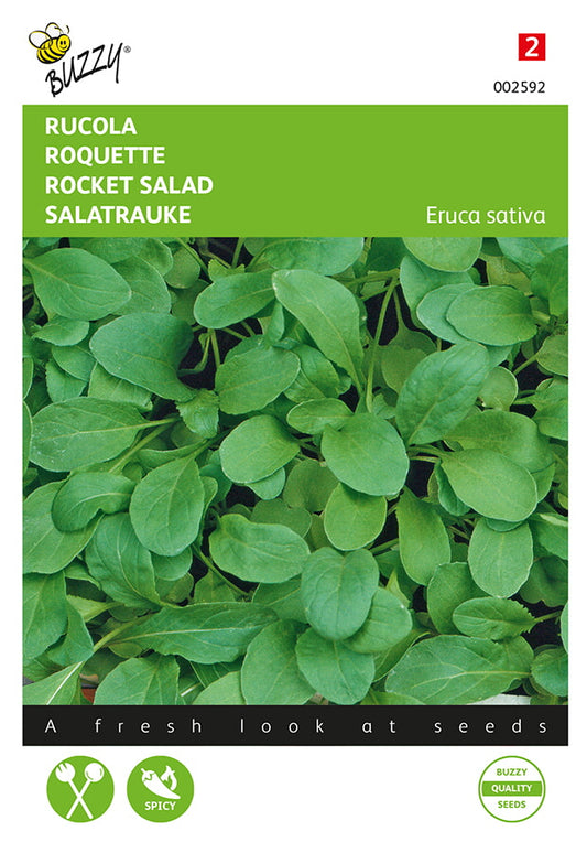 Rucola-salaattikasvin siemenpussin etupuoli, jossa vihreitä, rosoisia lehtiä.