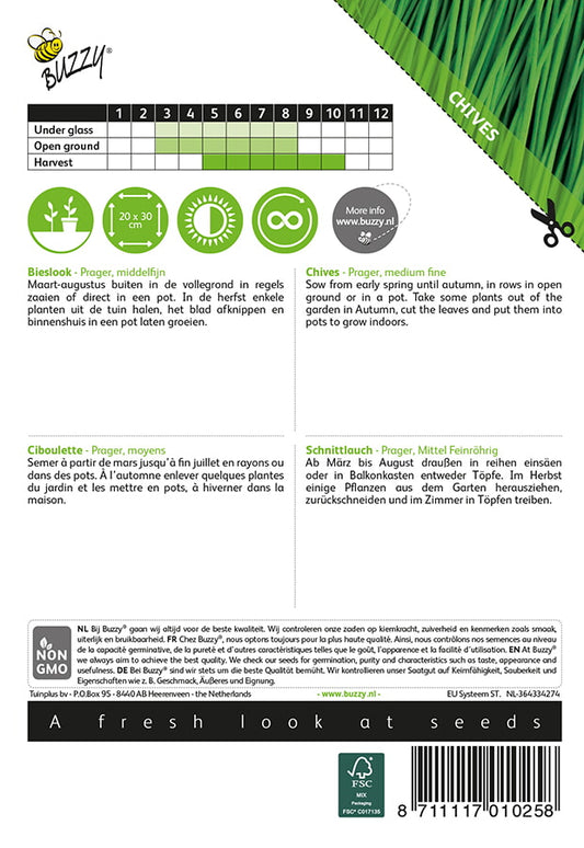 Ruohosipuli ‘Prager’ – Allium schoenoprasum -siemenpussin takapuoli, jossa kylvö- ja hoito-ohjeet