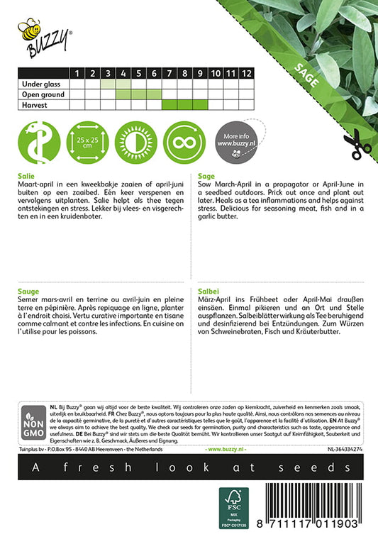 Salvia (Salvia officinalis) -siemenpussin takapuoli, jossa kylvö- ja hoito-ohjeet.