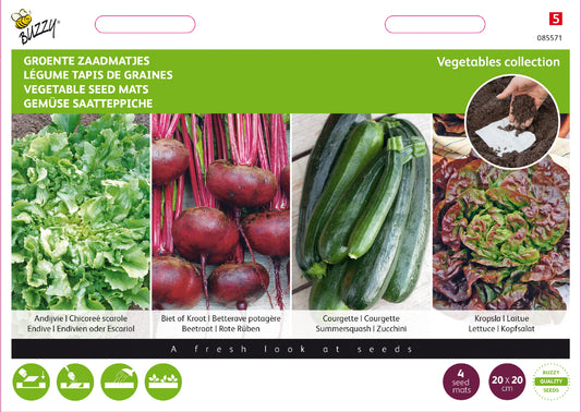 Siemenmatto Kasvisvalikoima -pakkauksen etupuoli, jossa näkyy endiivi, kesäkurpitsa, punajuuri ja keräsalaatti.