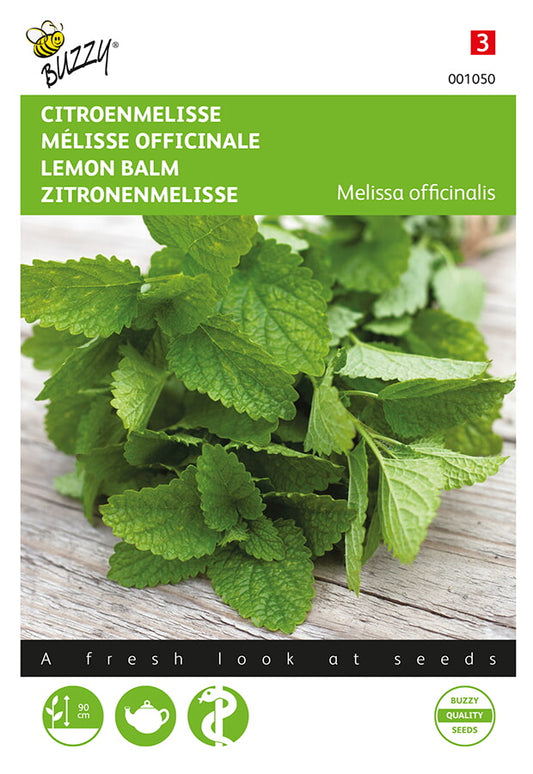 Sitruunamelissa – Melissa officinalis -nippu valmiina käytettäväksi keittiöyrttinä