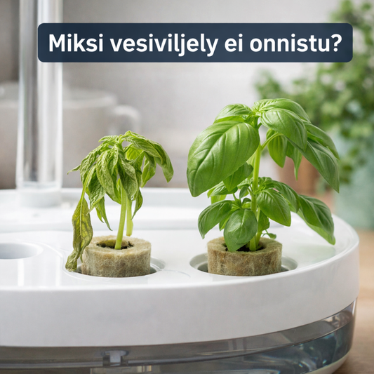 7 yleisintä virhettä vesiviljelyssä – ja miten vältät ne