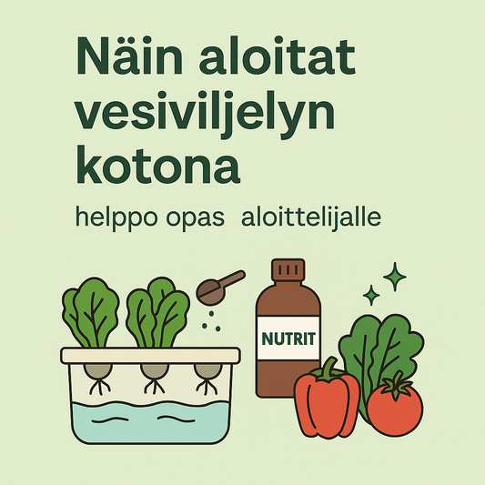 Havainnollistava kuvitus aloittelijan vesiviljelyoppaasta ilman laitteita – yrtit kasvamassa vedessä