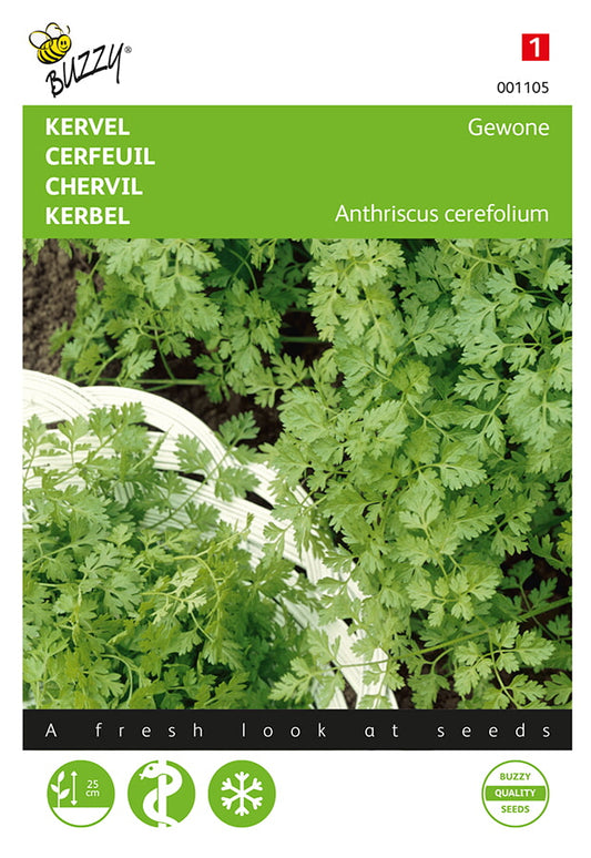 Maustemeirami-siemenpussi – Anthriscus cerefolium, etupuoli.