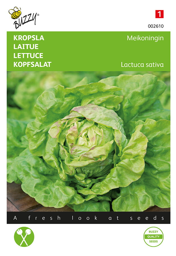 Keräsalaatti Maiking -siemenpussin etupuoli, jossa vihreä keräsalaatti kuvattuna.
