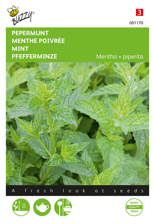Minttu (Mentha x piperita) -siemenpussin etupuoli, jossa näkyy vihreä yrtti ja Buzzy®-logo