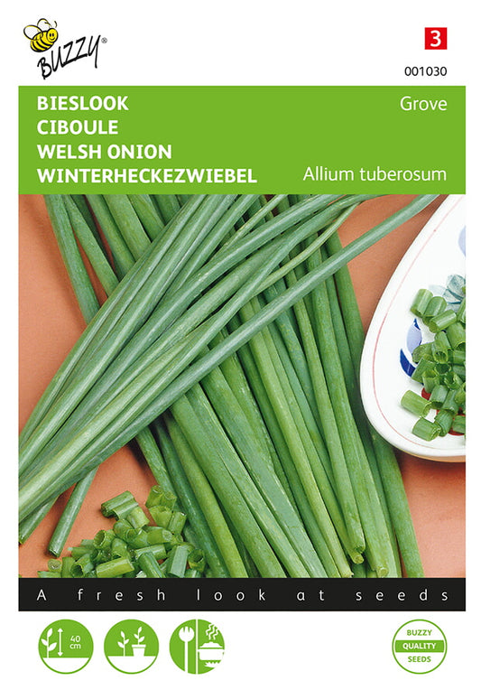 Valkosipulimainen kevätsipuli – Allium fistulosum -nippu silputtuna, tuotekuvan etupuoli