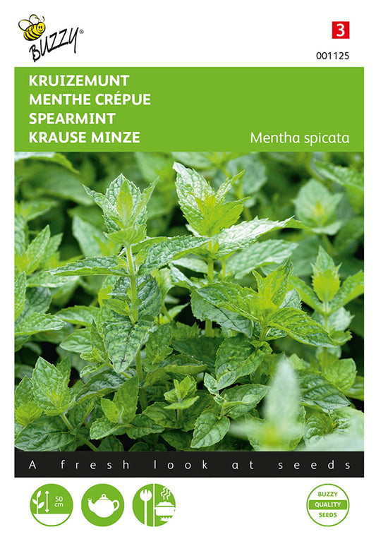 Viherminttu (Mentha spicata) -siemenpussin etupuoli, jossa näkyy mintun vihreitä lehtiä ja Buzzy®-logo